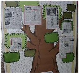 ��񐮗��{�����e�B�A�̌f����